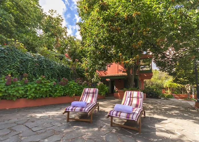 Feriehus Finca Cloty *