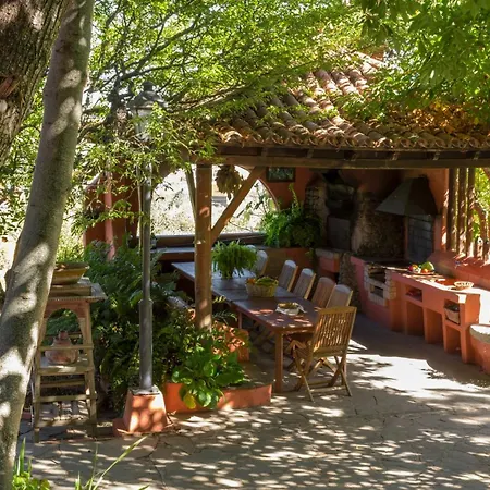 Cloty Tatil Evi *